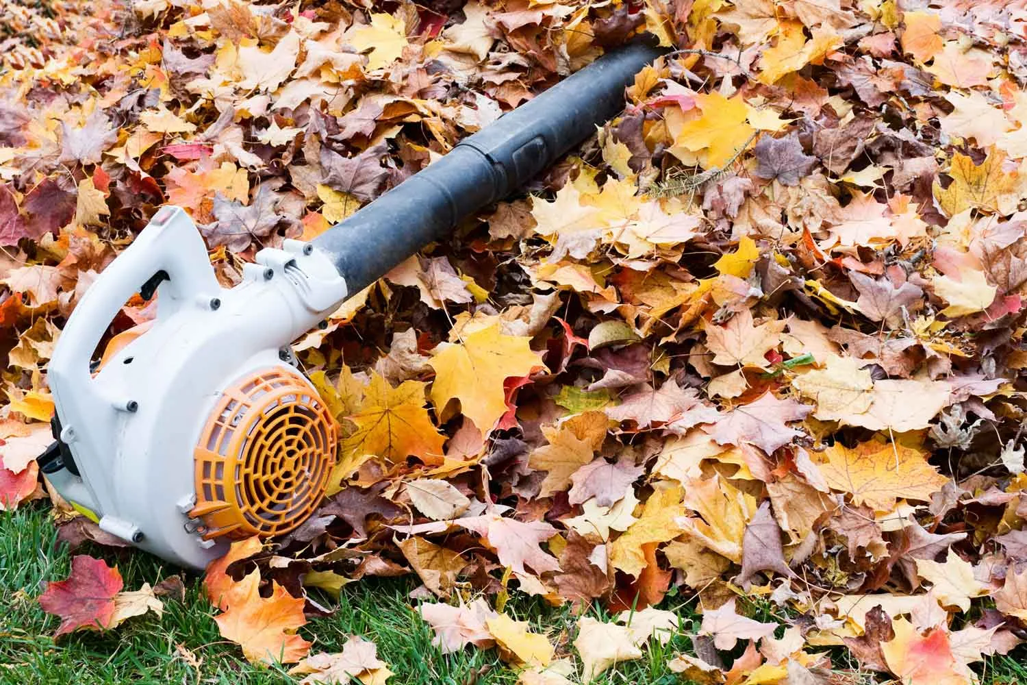 Leaf blower