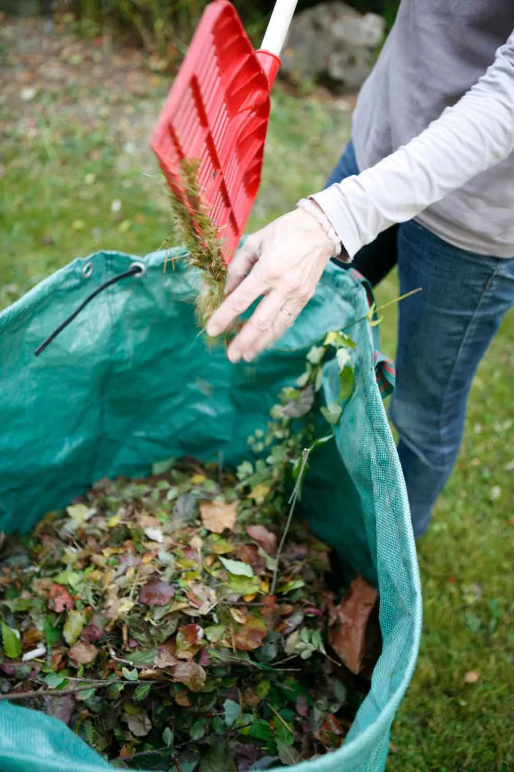 Put raked leaves in a bag