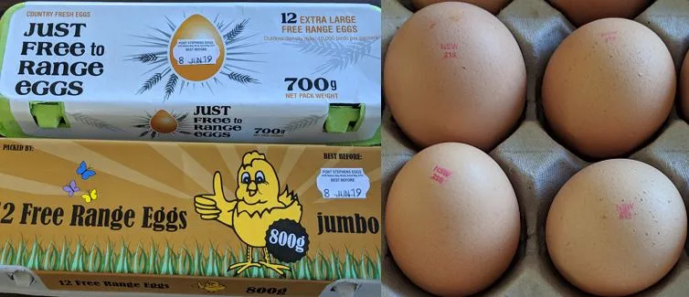 eggs
