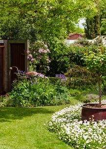 Create a country style garden