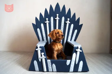 This Iron Throne pet bed is perfect for GoT fans