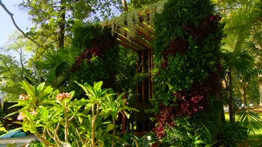 Green walls