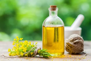 11 canola oil alternatives