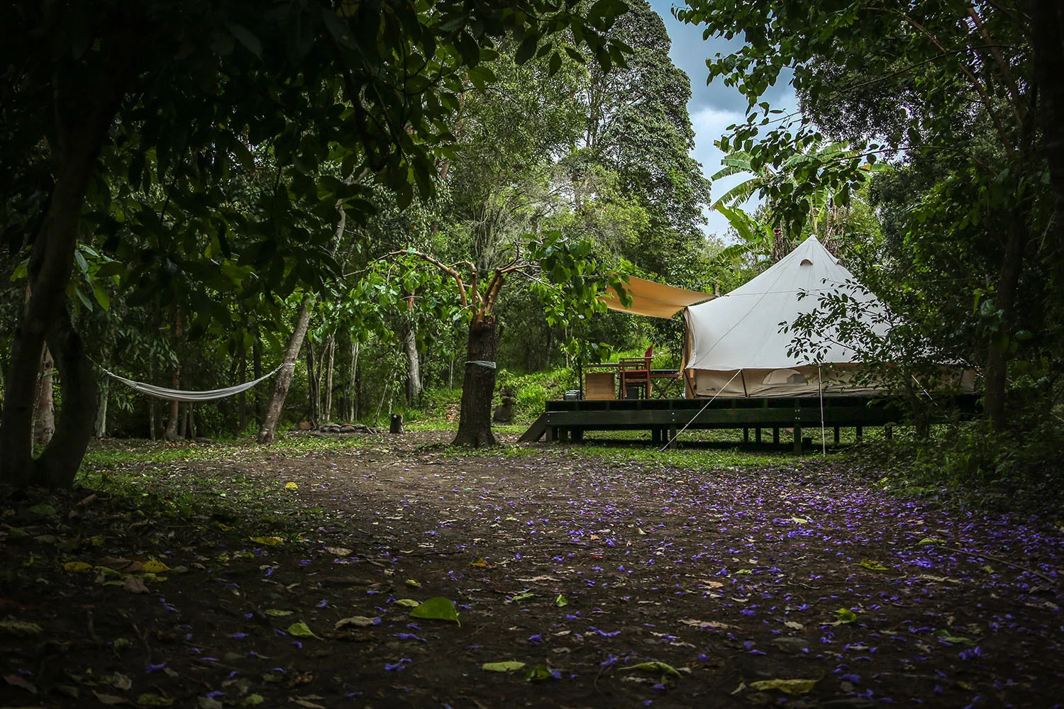 luxury camping