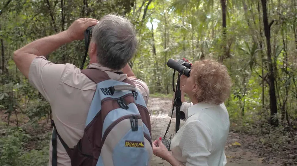Bird watching in queensland