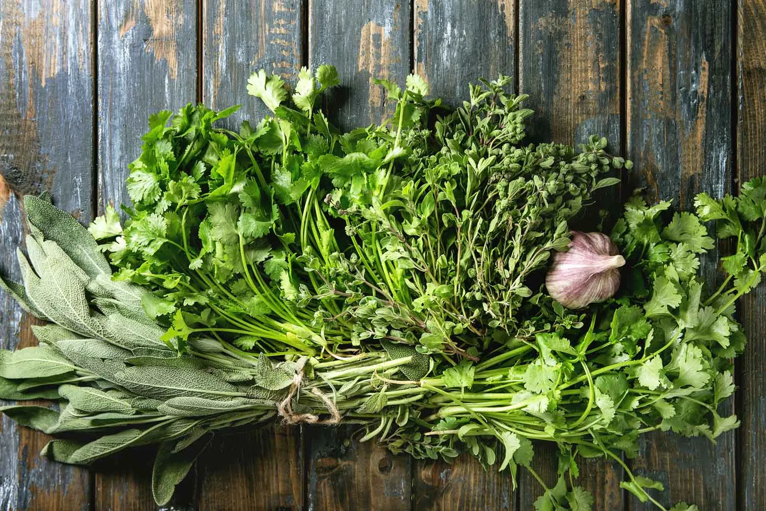 Herbs and garlic