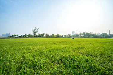 How to pick the perfect type of lawn for your location