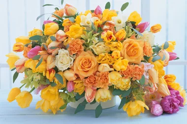 Study finds plants and flowers can reduce pain levels