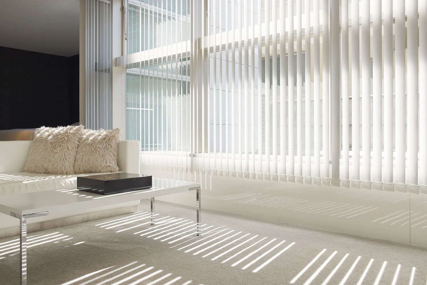 white blinds