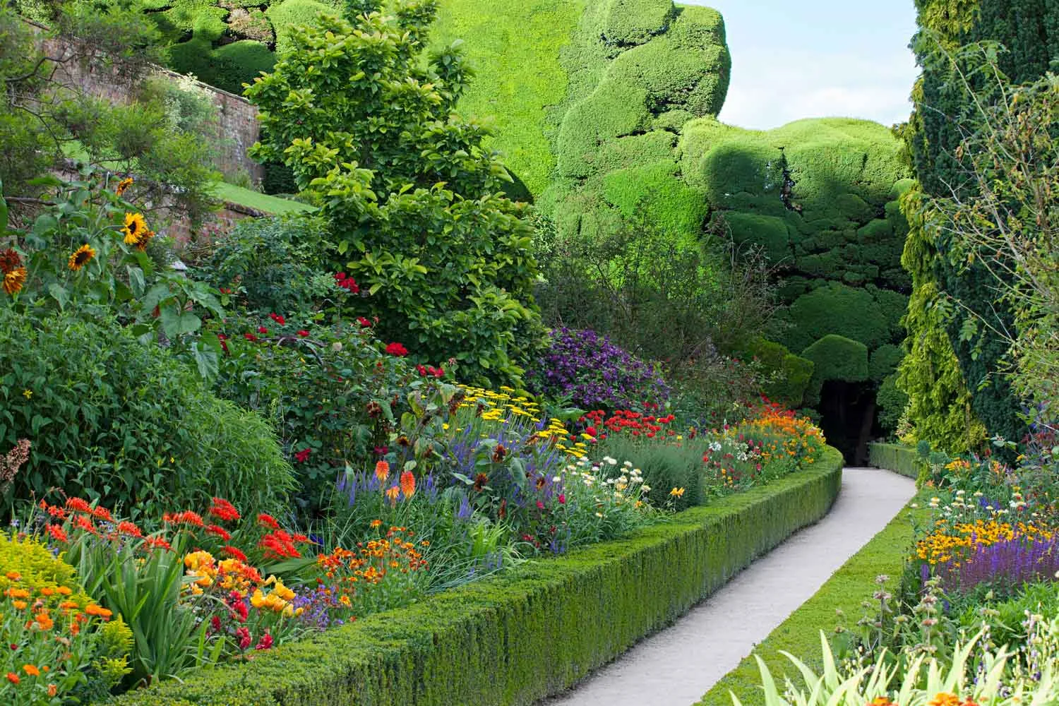 Powis Castle garden hedges