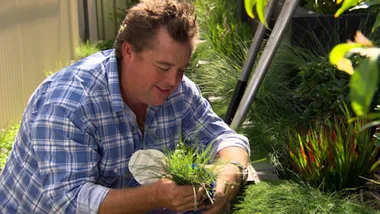 MAKEOVER HOUSE SIDE PATH FIX