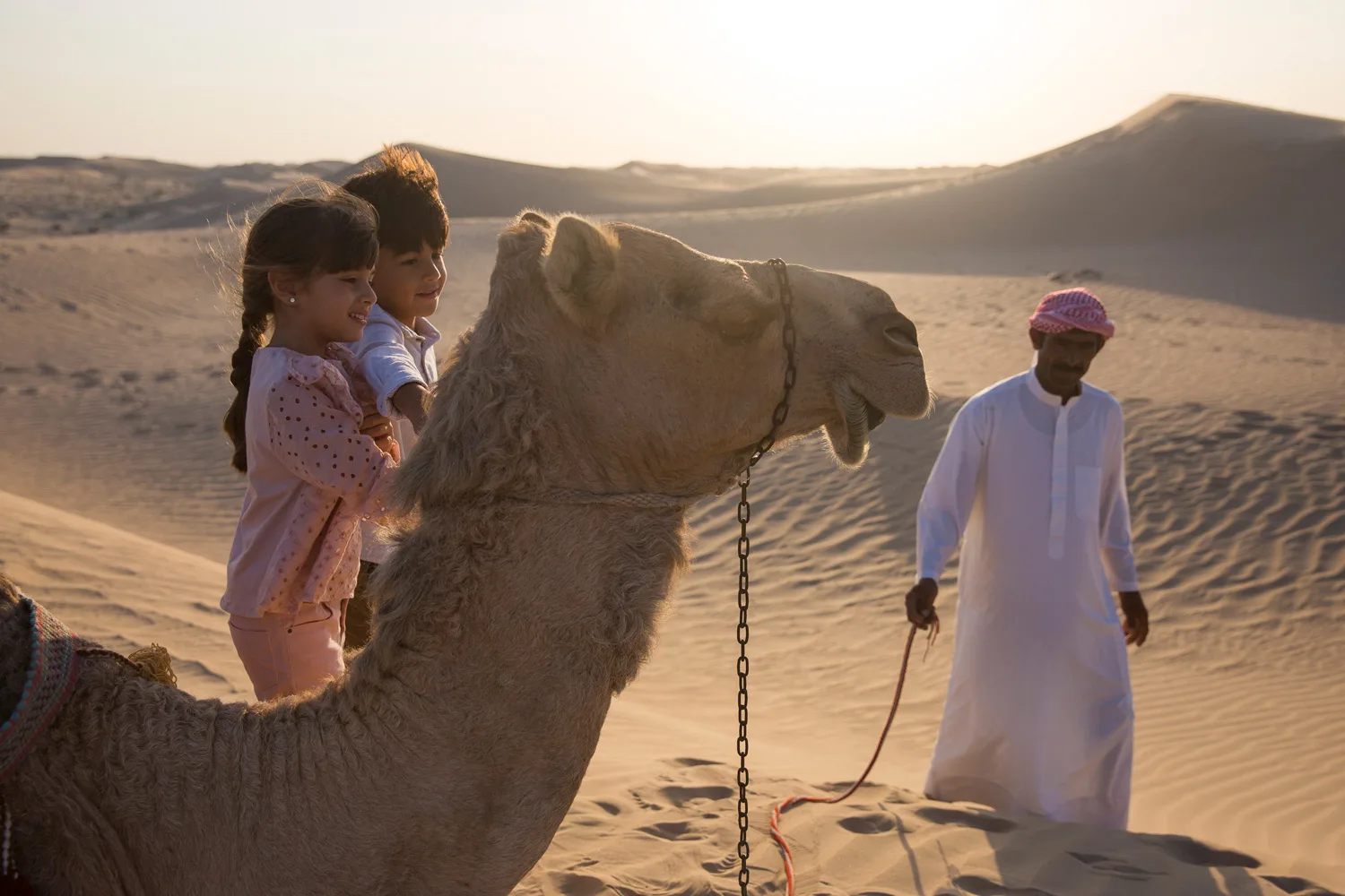 Abu Dhabi camel ride