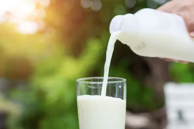 Milk recall: Everything you need to know