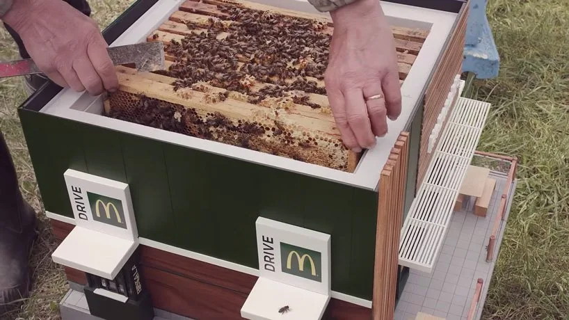 McDonald's McHive beekeeping
