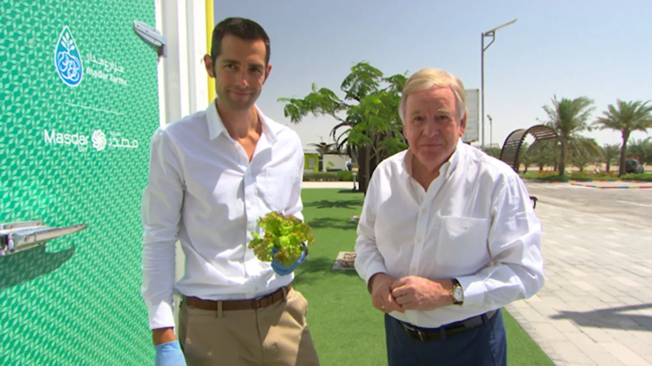ABU DHABI – MASDAR HORTICULTURE