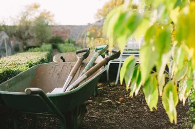 How to declutter your garden in 5 easy steps