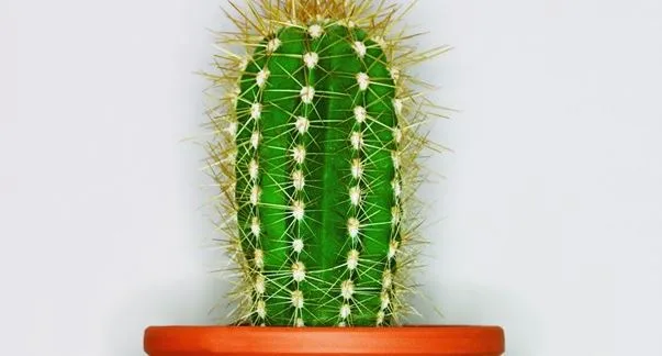 Diabetes dilemmas: what to do about lumps at injection sites