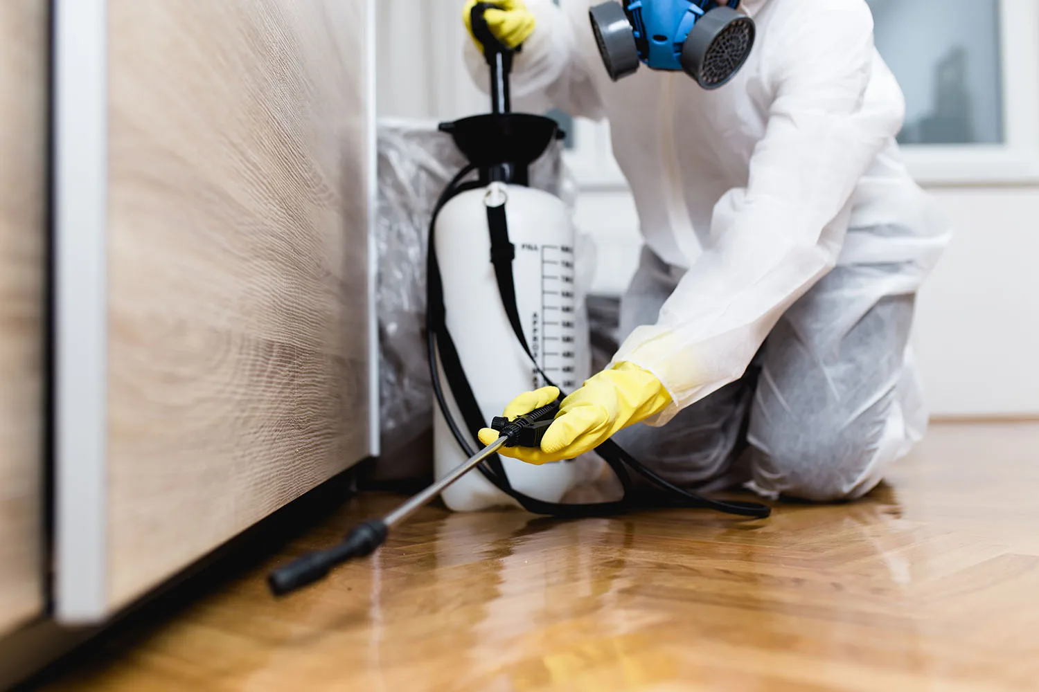 pest exterminator