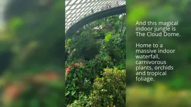 Singapore’s Gardens by the Bay