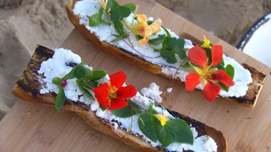 Coastal foraging & fricassee of prawns and coastal greens with tartine