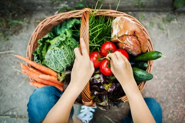 basket of vegetables