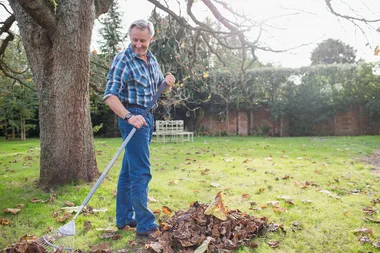 How to prepare your garden for spring