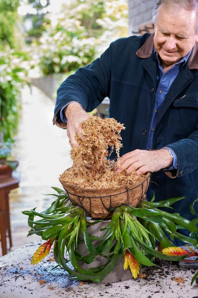 Add sphagnum moss to hanging basket