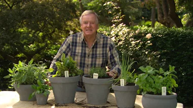 HANDMADE AIRDRY CLAY PLANT LABELS