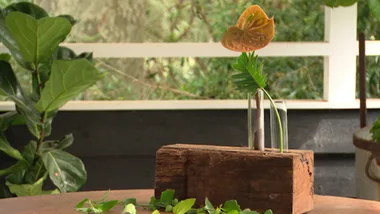 Test tube vase