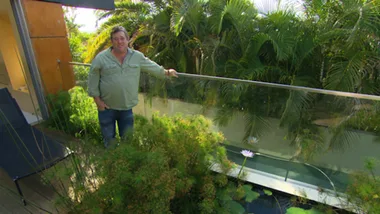 Georges heights Swiss army knife garden