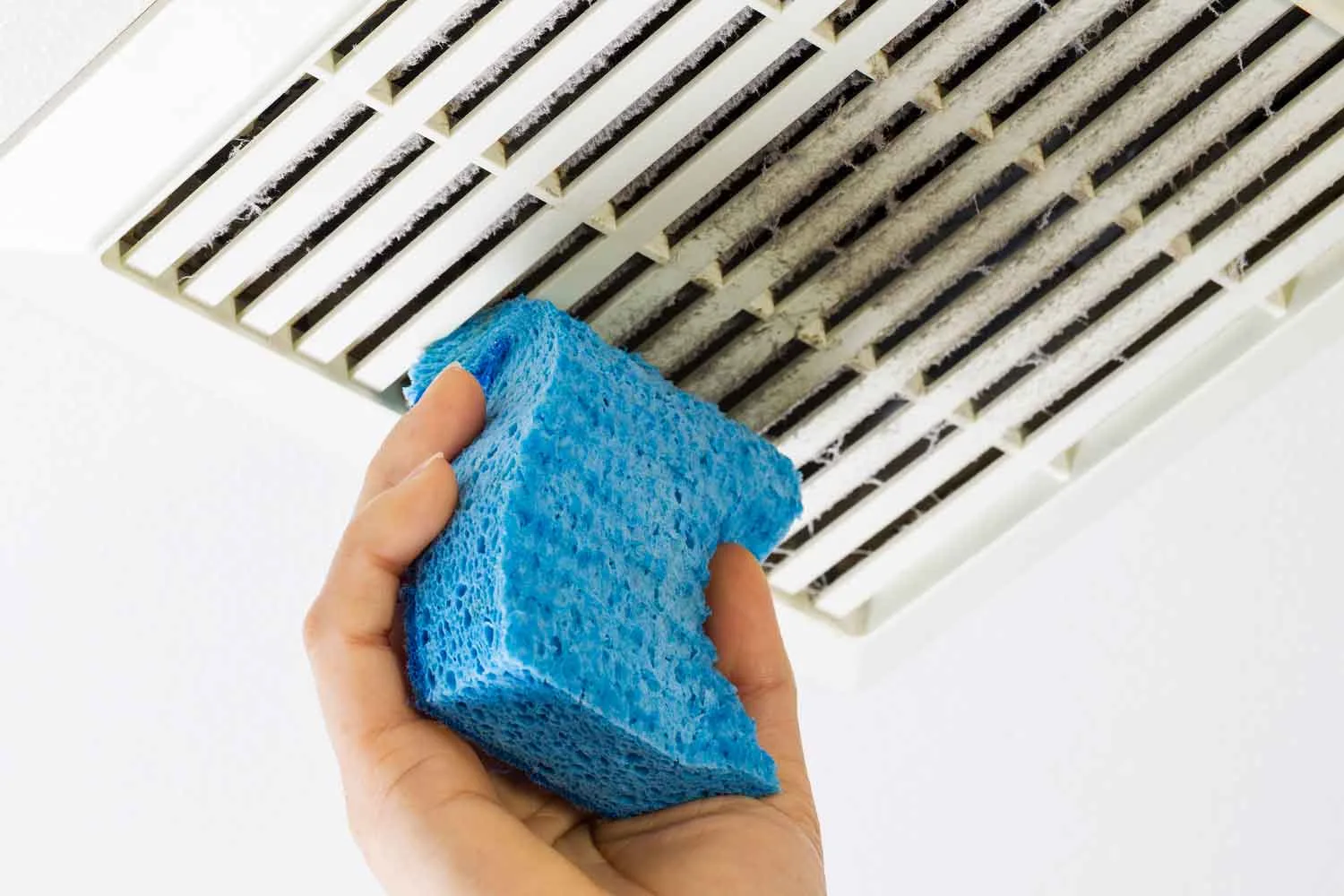 Cleaning dust off bathroom fan