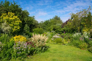 Garden Better: winter lawns and garden myth busters