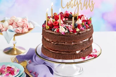 The ultimate chocolate cake
