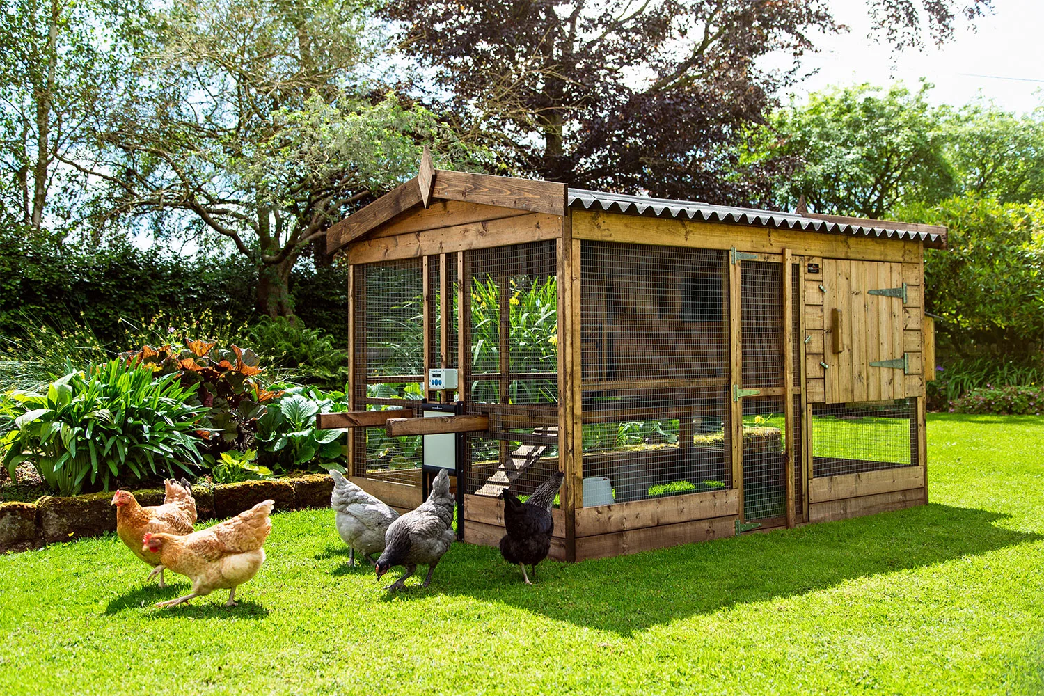 Chicken coop
