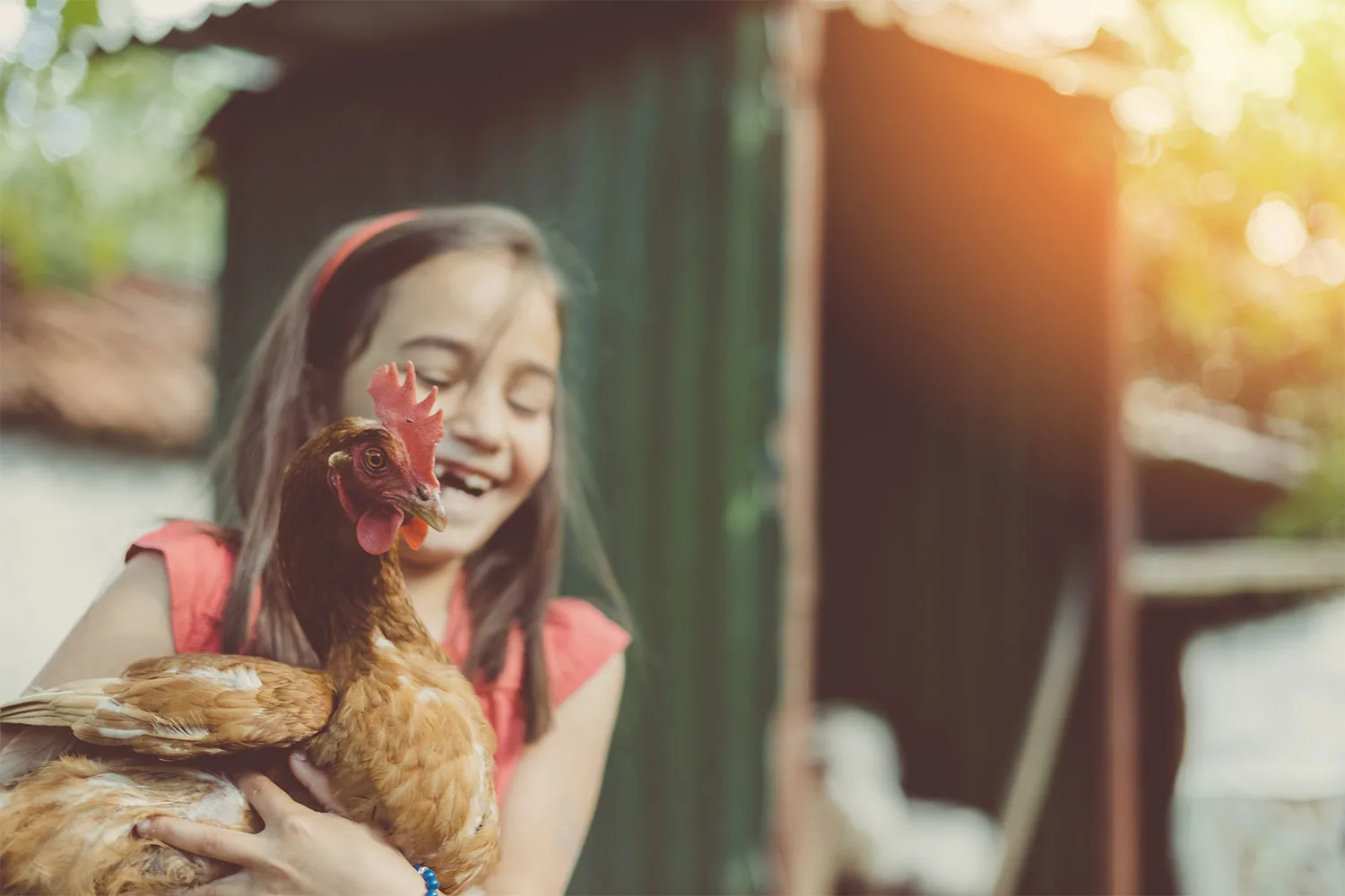 Girl holding chicken