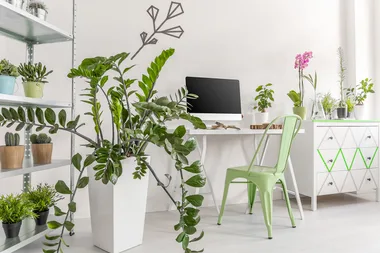 5 different ways to display your indoor plants