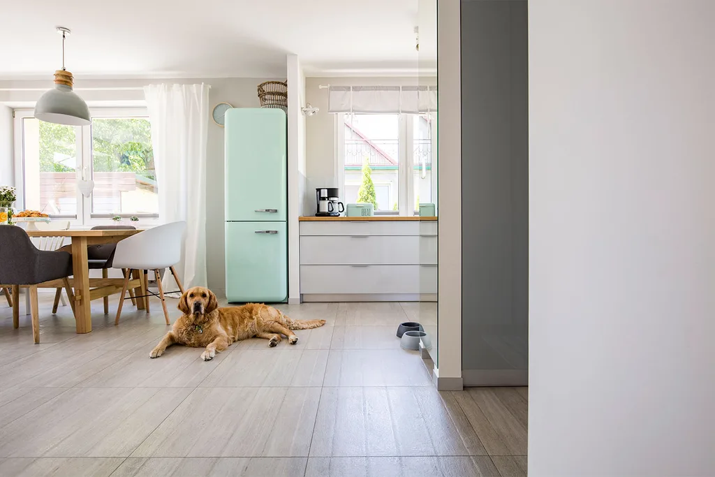 Dog in front of fridge