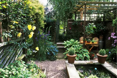 Garden Better: summer bulbs and water features