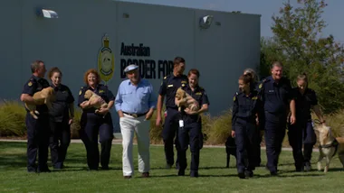 TRAINING AUSTRALIAN BORDER FORCE DETECTOR DOGS