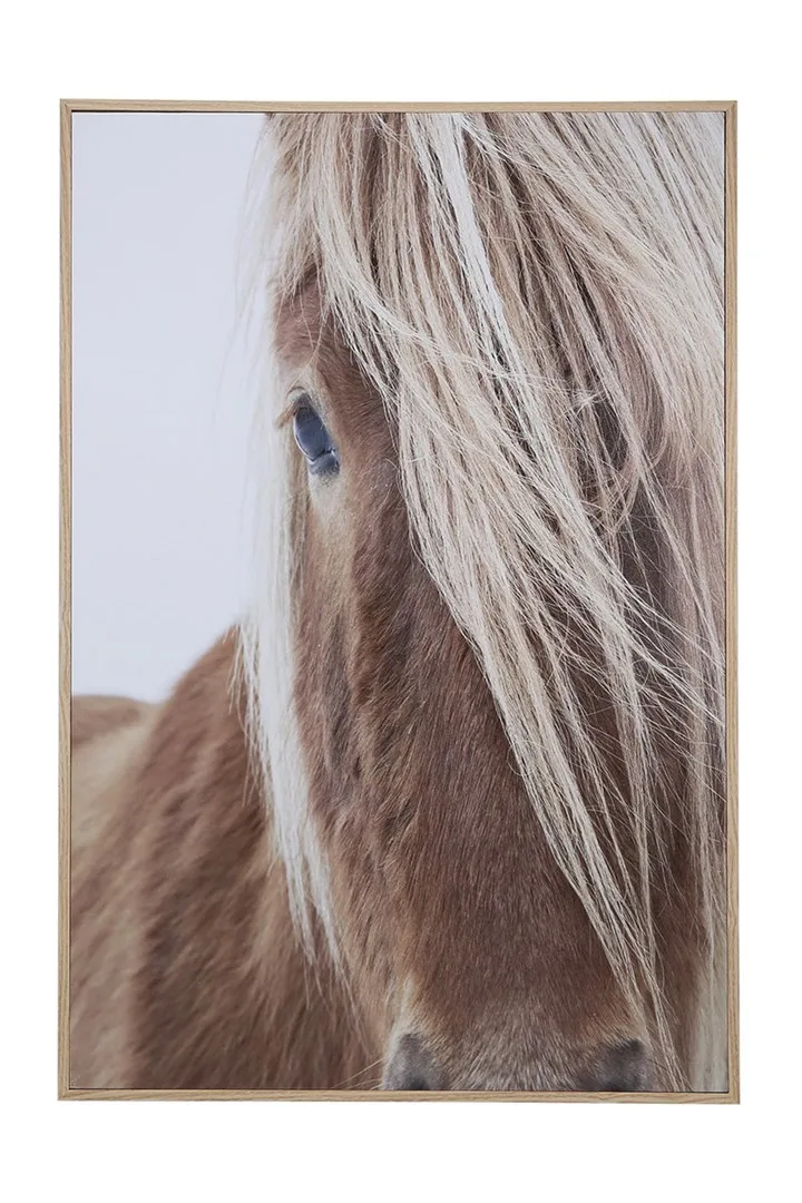 Horse framed print