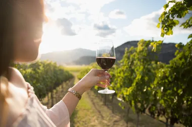 This is why your cheeks turn red when you have a glass of wine