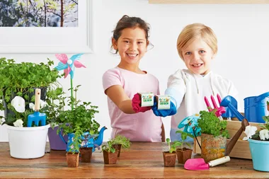 How to make your Woolworths Discovery Garden seedlings grow faster
