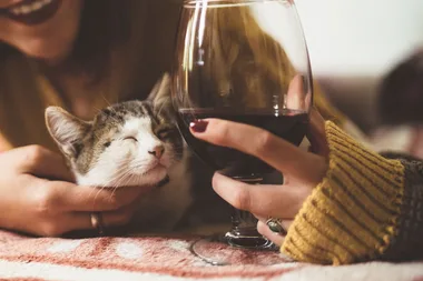 You can help save abandoned animals just by choosing to drink this wine