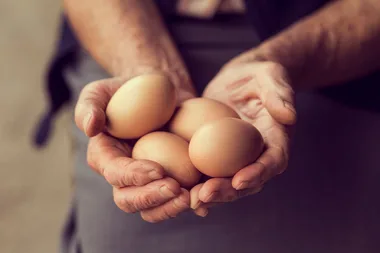 Use this quick and easy hack to check if an egg is safe to eat