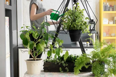 Small things that can transform your home from blah to beautiful