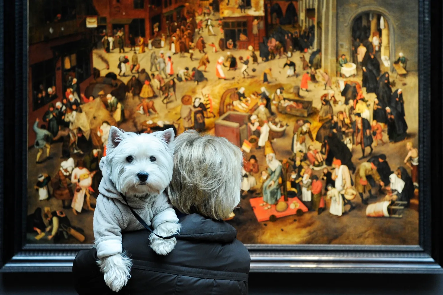 Top 8 dog breeds for allergy sufferers