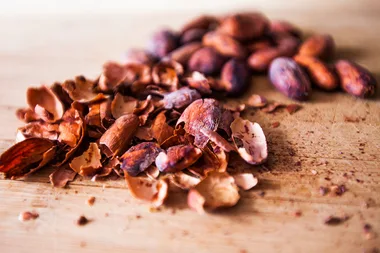 Is cacao husk tea the new superfood?