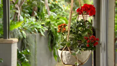 Pots With Personality