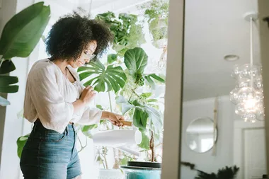 7 inspired ways to be creative with plants