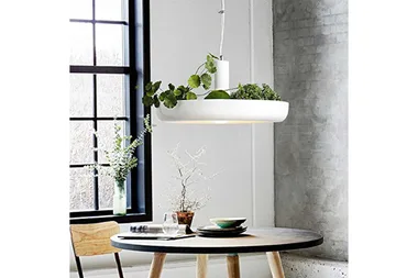 The one-of-a-kind indoor plant chandelier you need to buy now